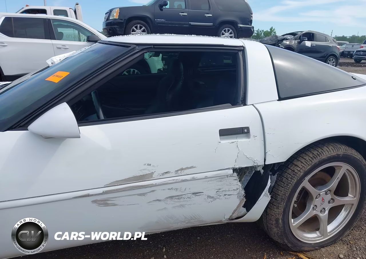 1996 Chevrolet Corvette VIN:1G1YY22P0T5119040 - 6