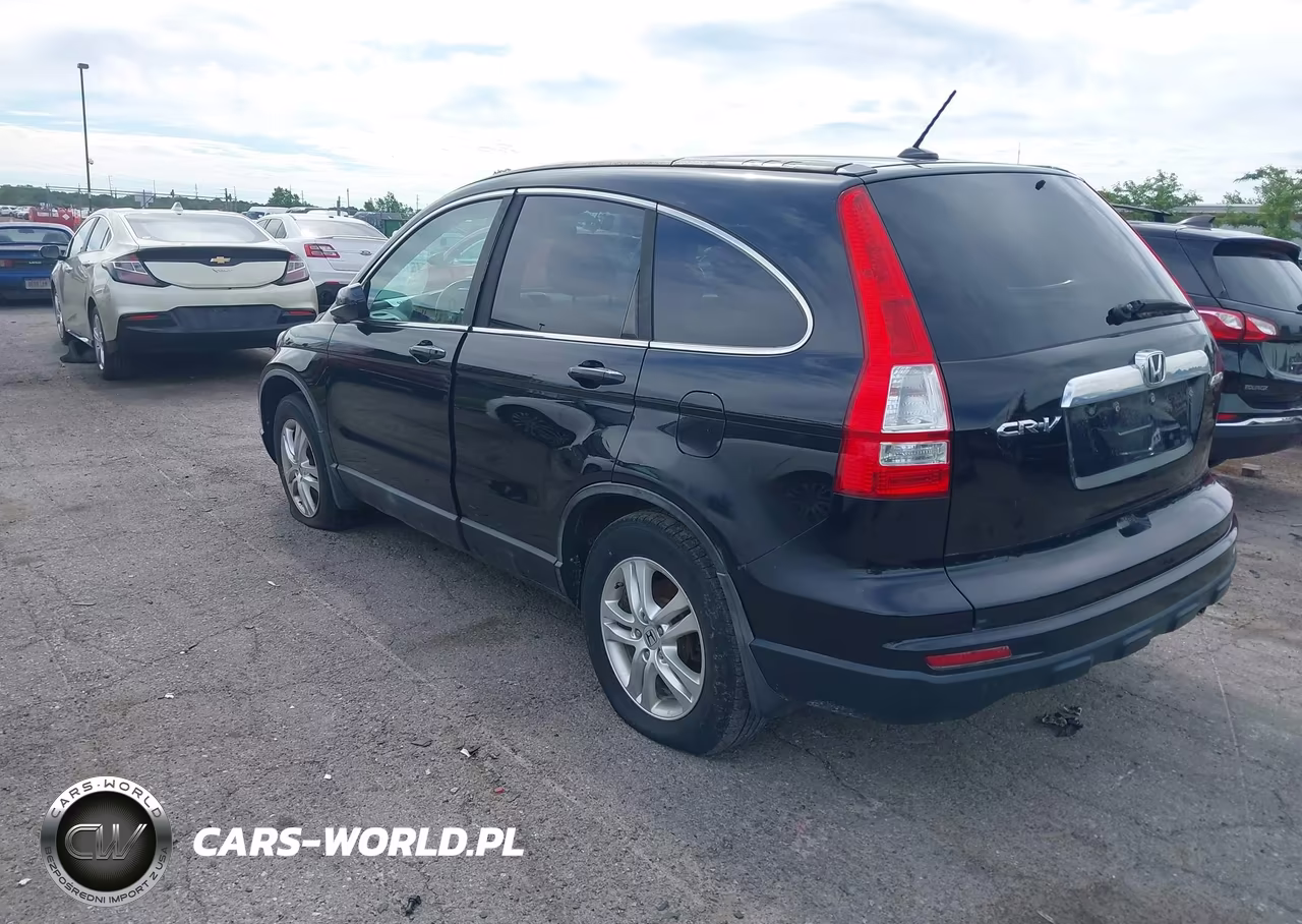 2010 Honda Cr-V Ex-L VIN:5J6RE4H77AL810673 - 3