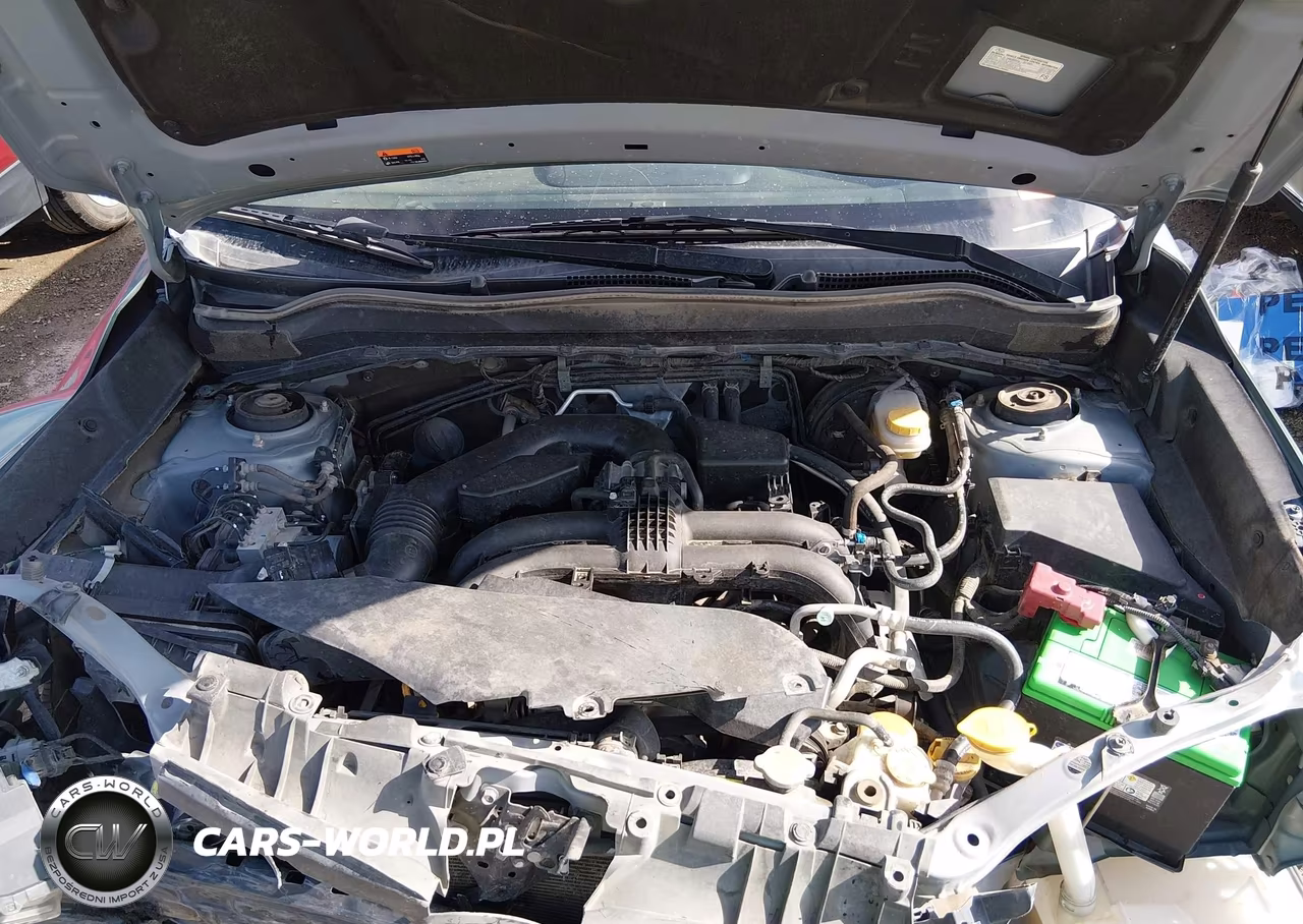 2018 Subaru Forester 2.5I Limited VIN:JF2SJARC7JH590856 - 10