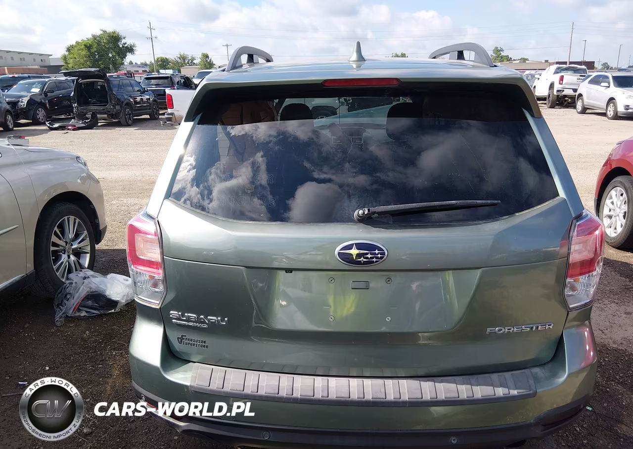 2018 Subaru Forester 2.5I Limited VIN:JF2SJARC7JH590856 - 17
