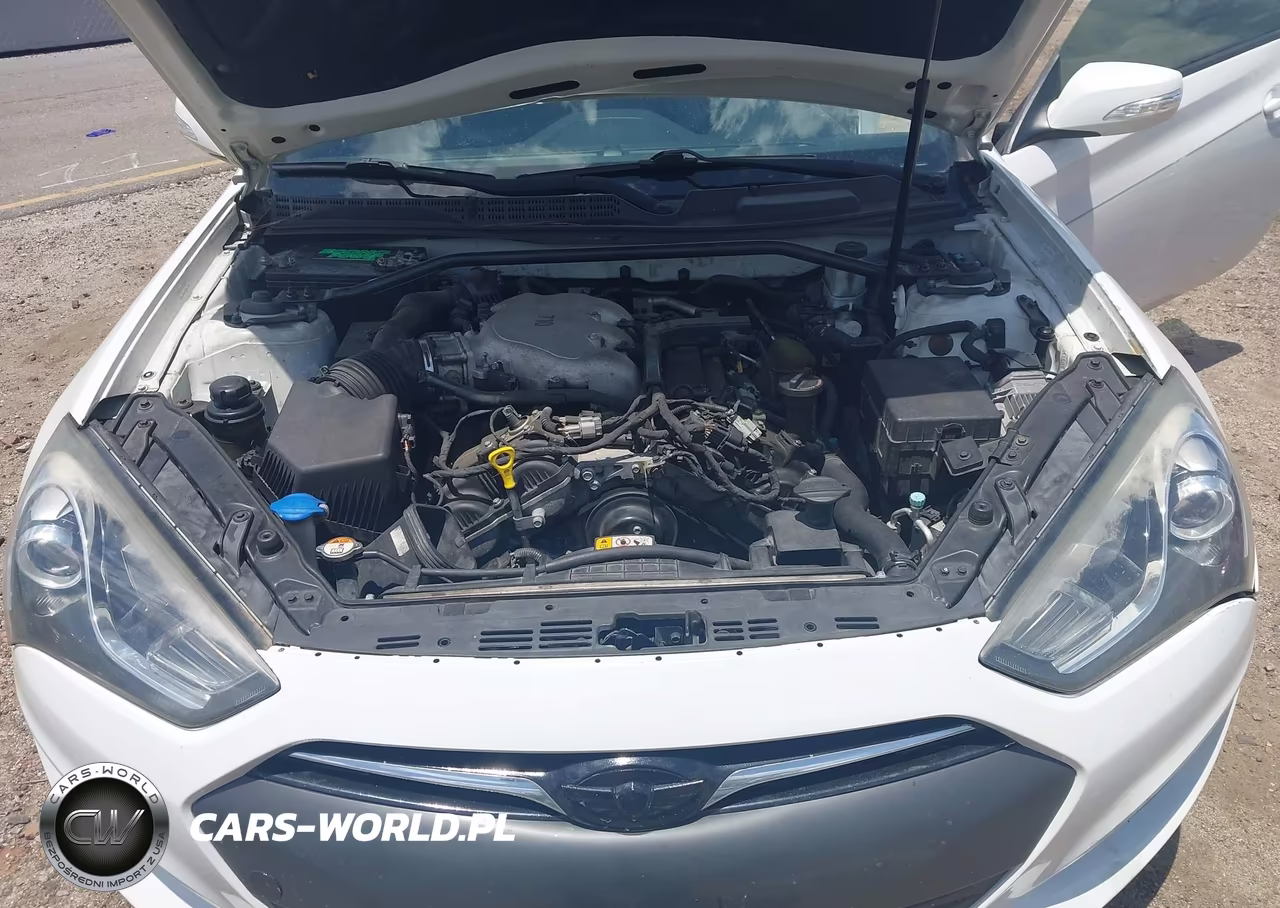 2013 Hyundai Genesis VIN:KMHHU6KJ3DU088309 - 10