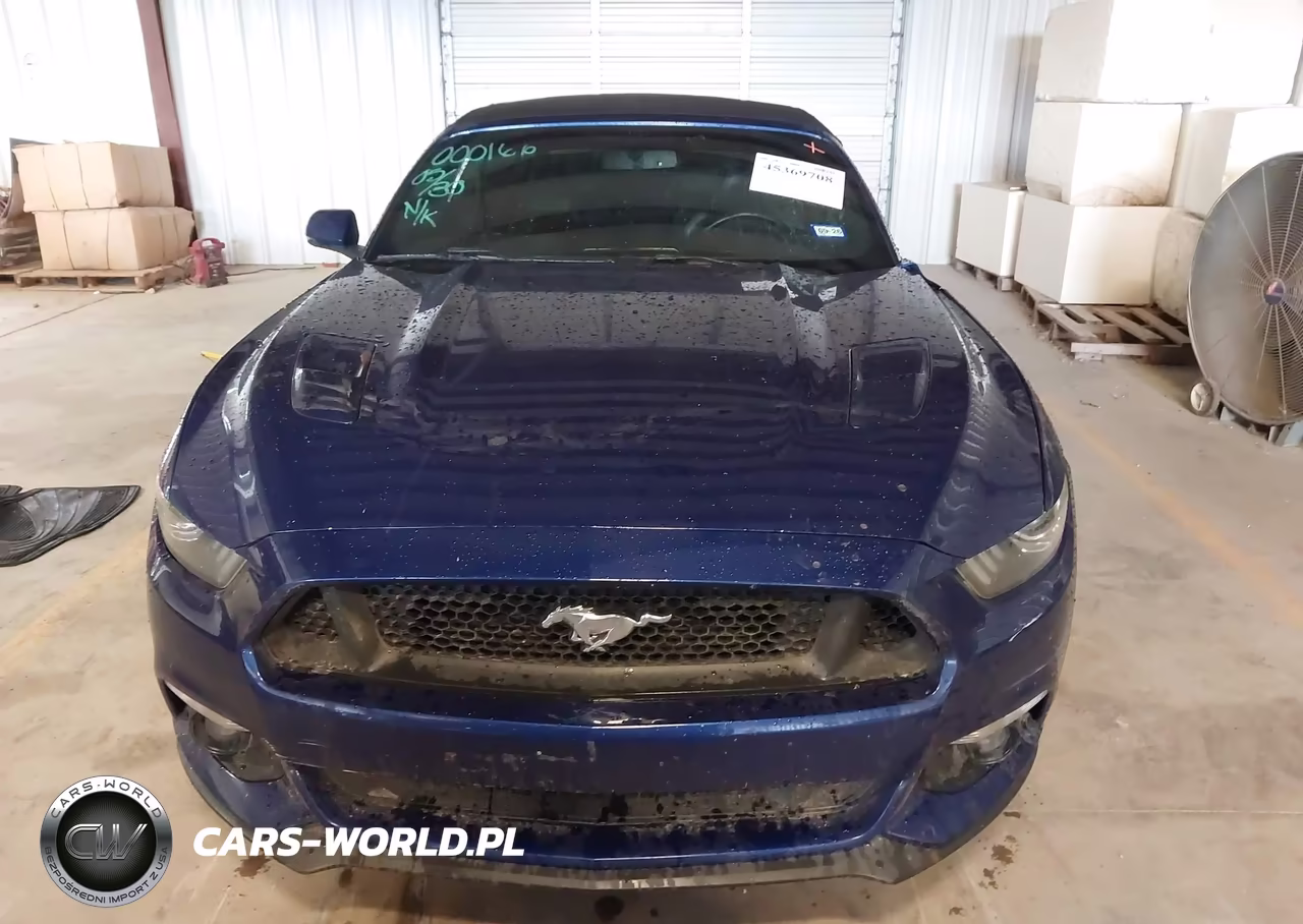 2015 Ford Mustang Gt Premium VIN:1FATP8FF0F5384835 - 11