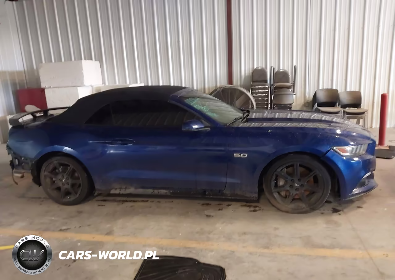 2015 Ford Mustang Gt Premium VIN:1FATP8FF0F5384835 - 12