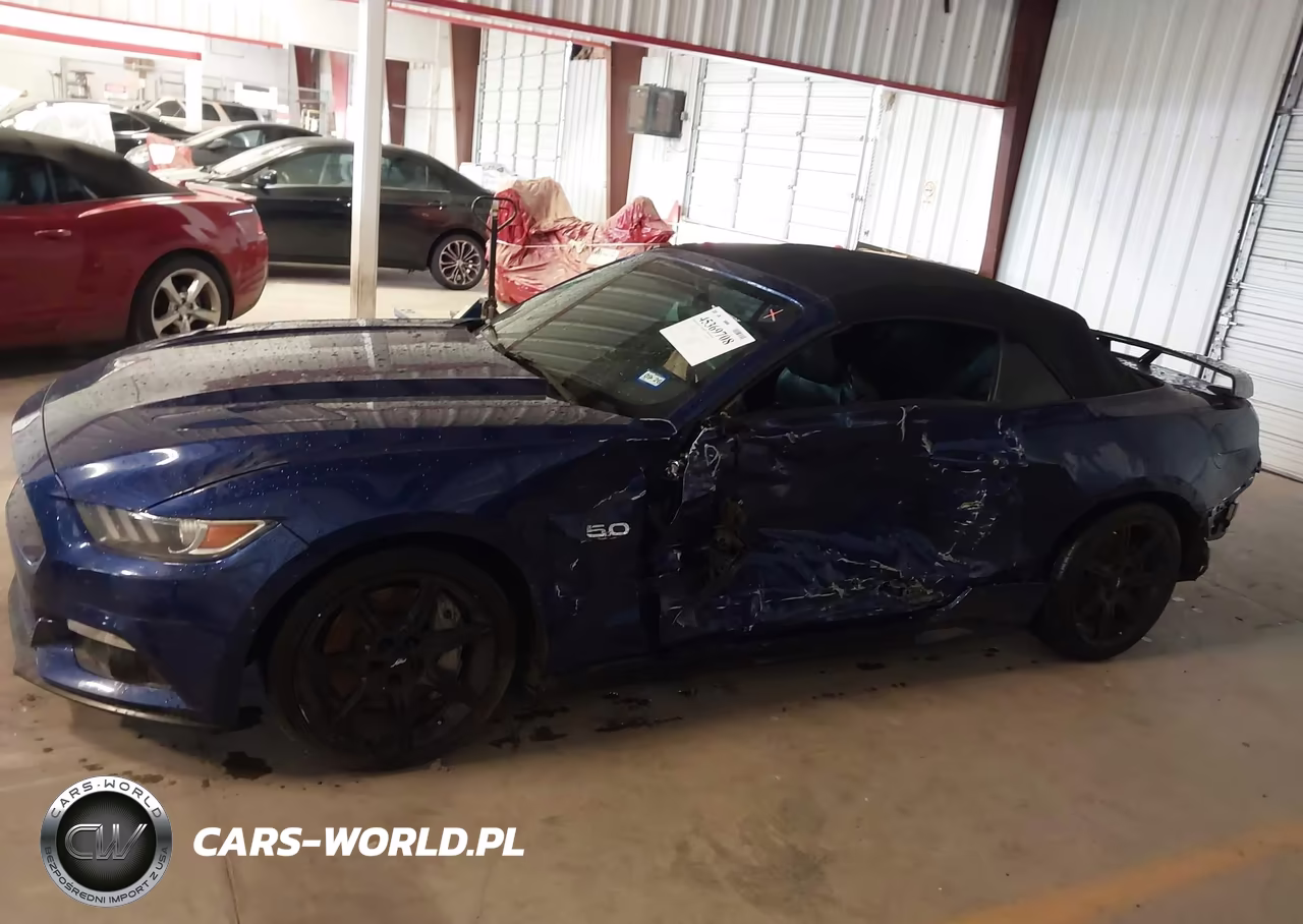 2015 Ford Mustang Gt Premium VIN:1FATP8FF0F5384835 - 13