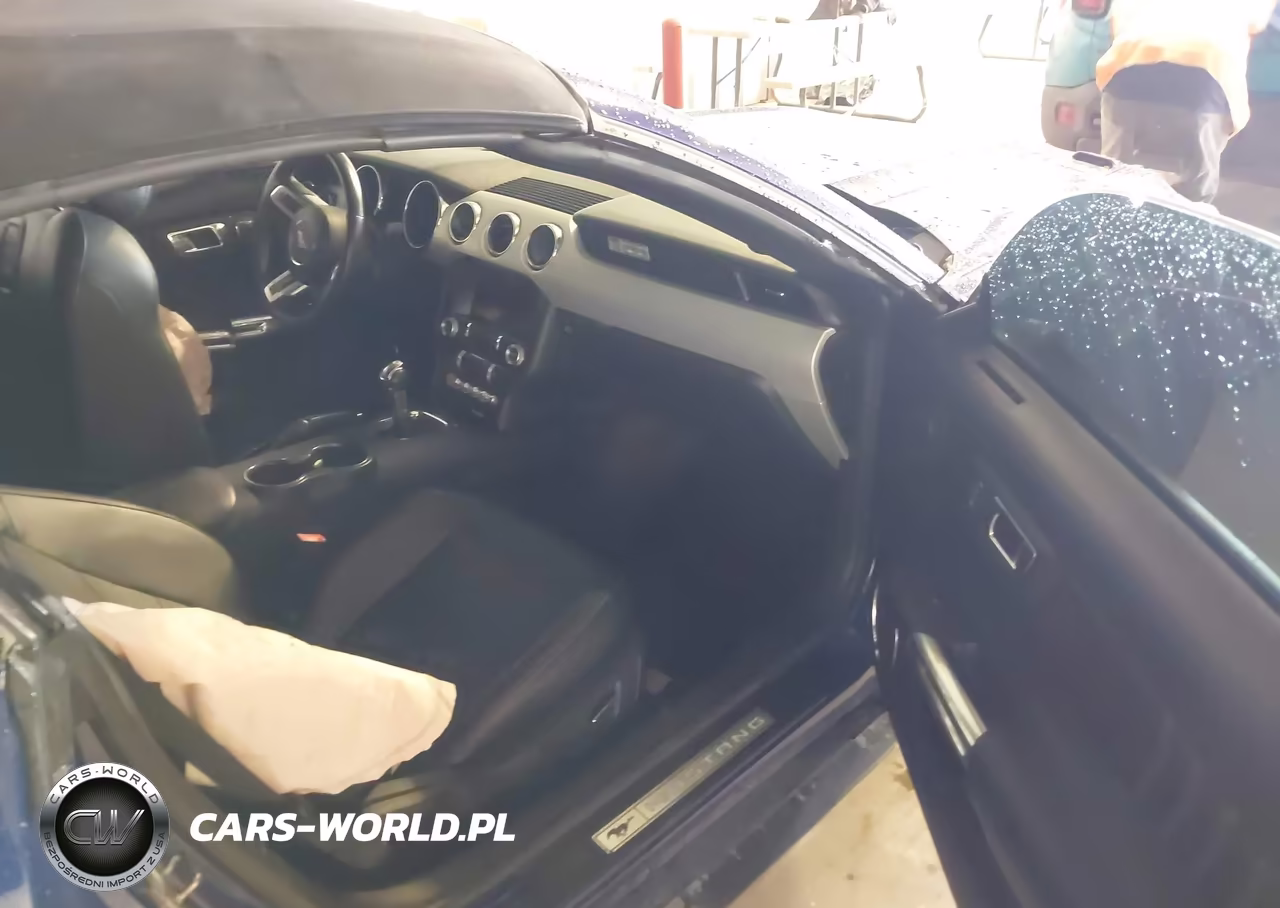 2015 Ford Mustang Gt Premium VIN:1FATP8FF0F5384835 - 5