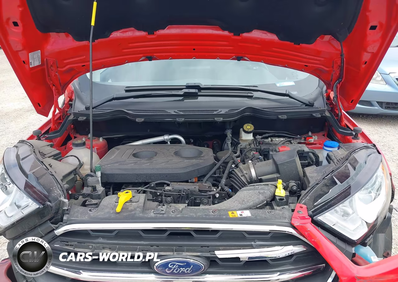2021 Ford Ecosport Titanium VIN:MAJ6S3KL0MC439304 - 10