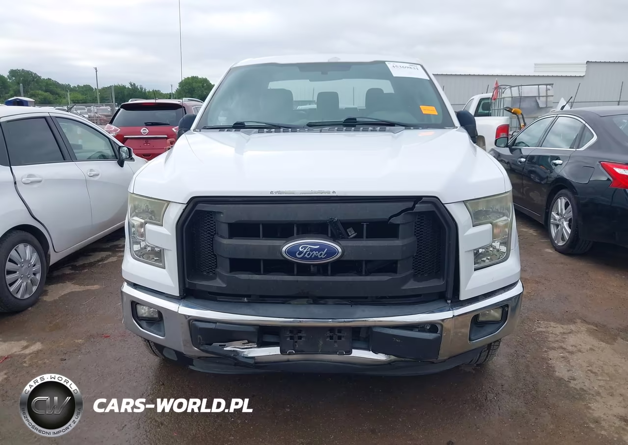 2015 Ford F-150 Xl VIN:1FTEX1CP5FKD26793 - 13