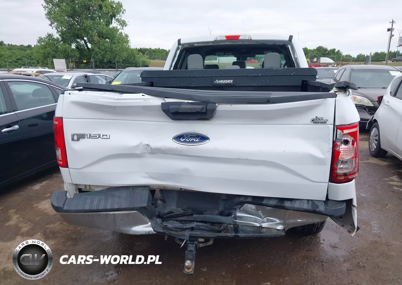 2015 Ford F-150 Xl VIN:1FTEX1CP5FKD26793 - 17