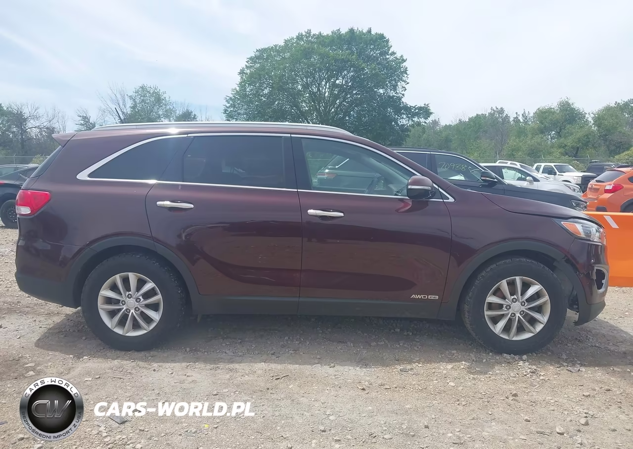 2018 Kia Sorento 3.3L Lx VIN:5XYPGDA59JG409184 - 13