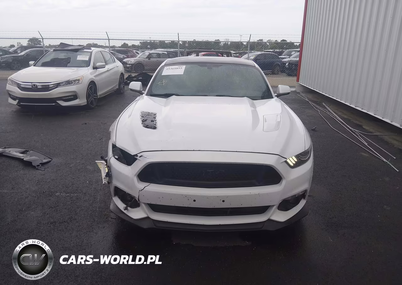 2016 Ford Mustang Gt Premium VIN:1FA6P8CF6G5268168 - 12