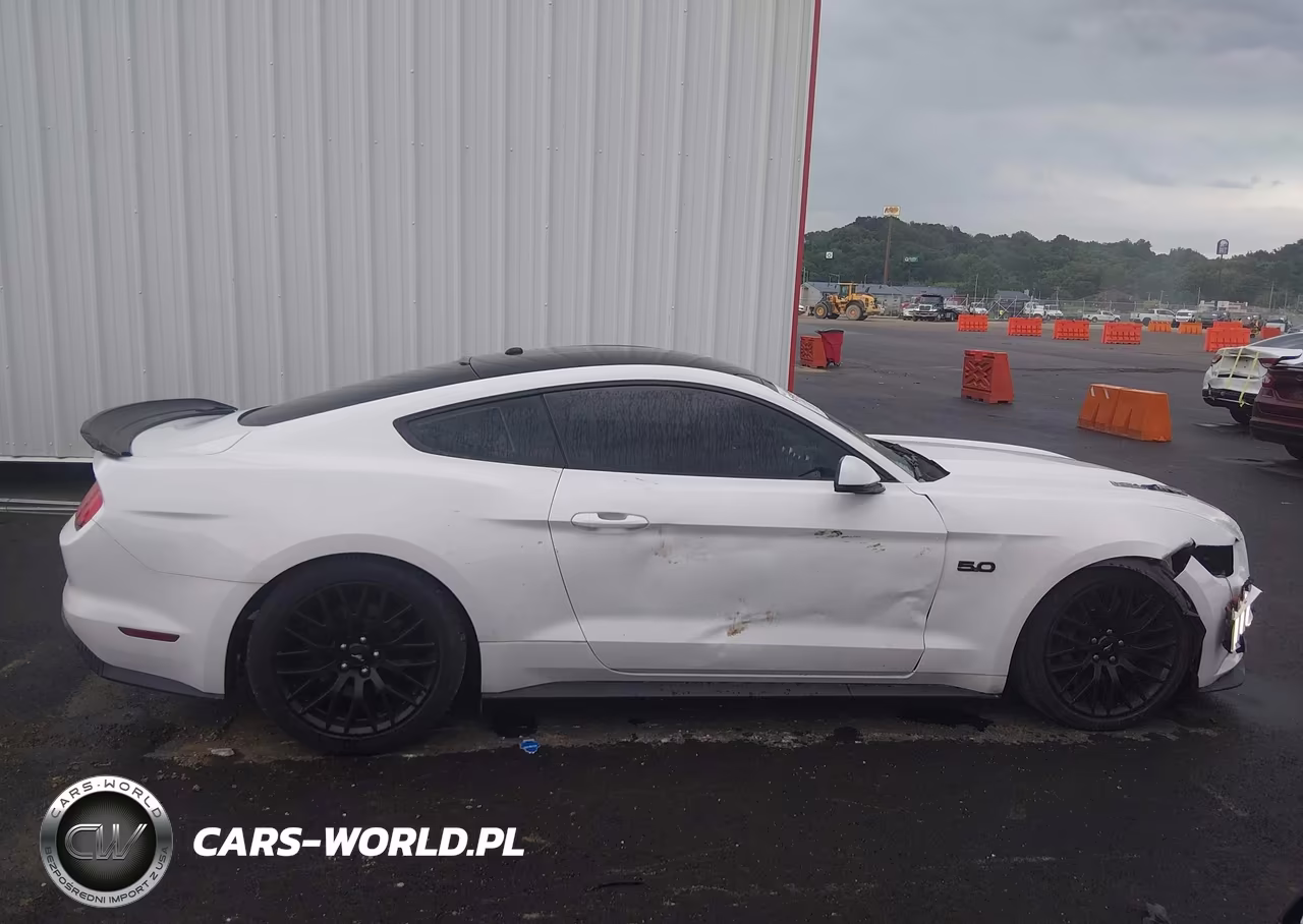 2016 Ford Mustang Gt Premium VIN:1FA6P8CF6G5268168 - 13