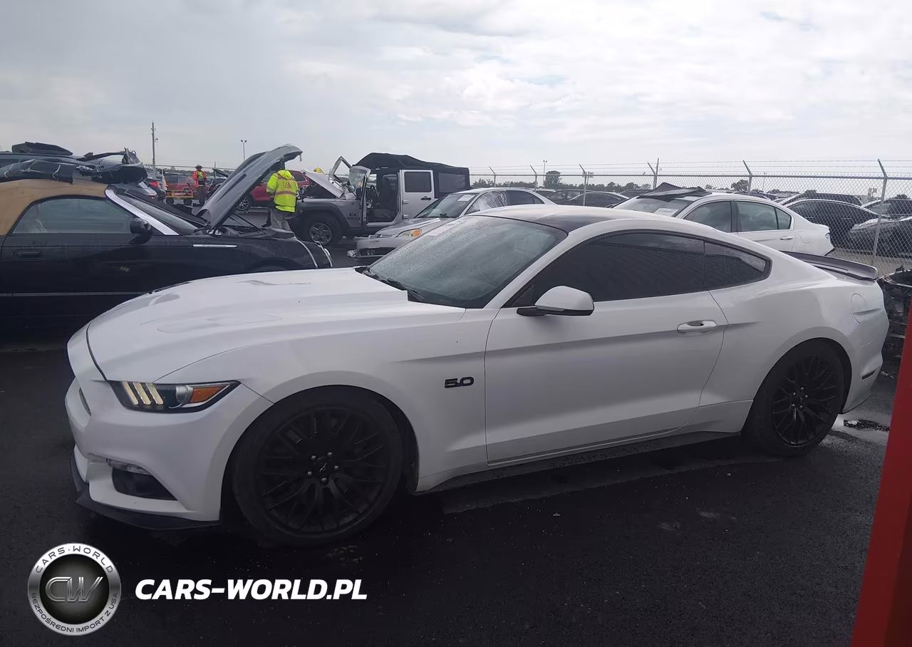 2016 Ford Mustang Gt Premium VIN:1FA6P8CF6G5268168 - 14