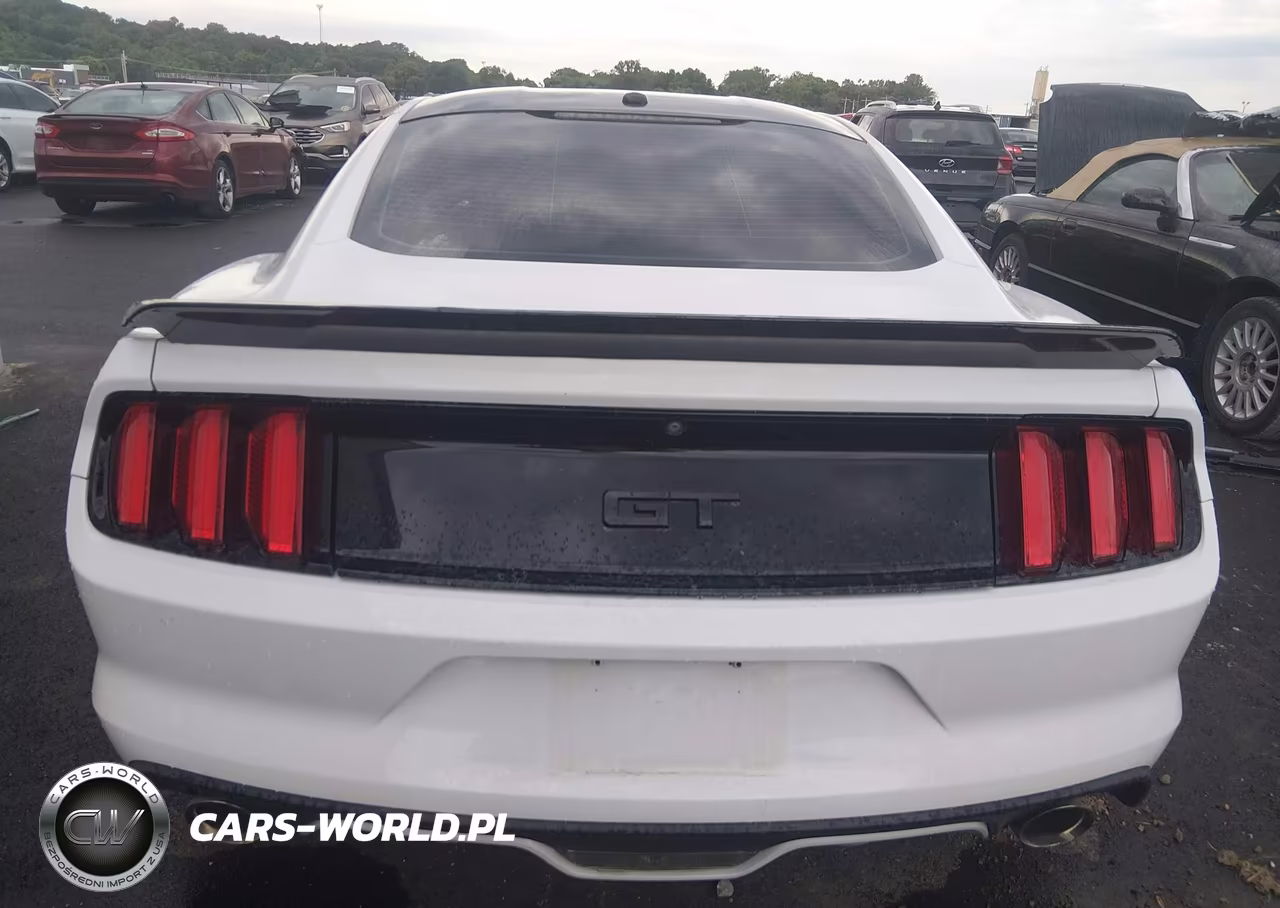 2016 Ford Mustang Gt Premium VIN:1FA6P8CF6G5268168 - 16