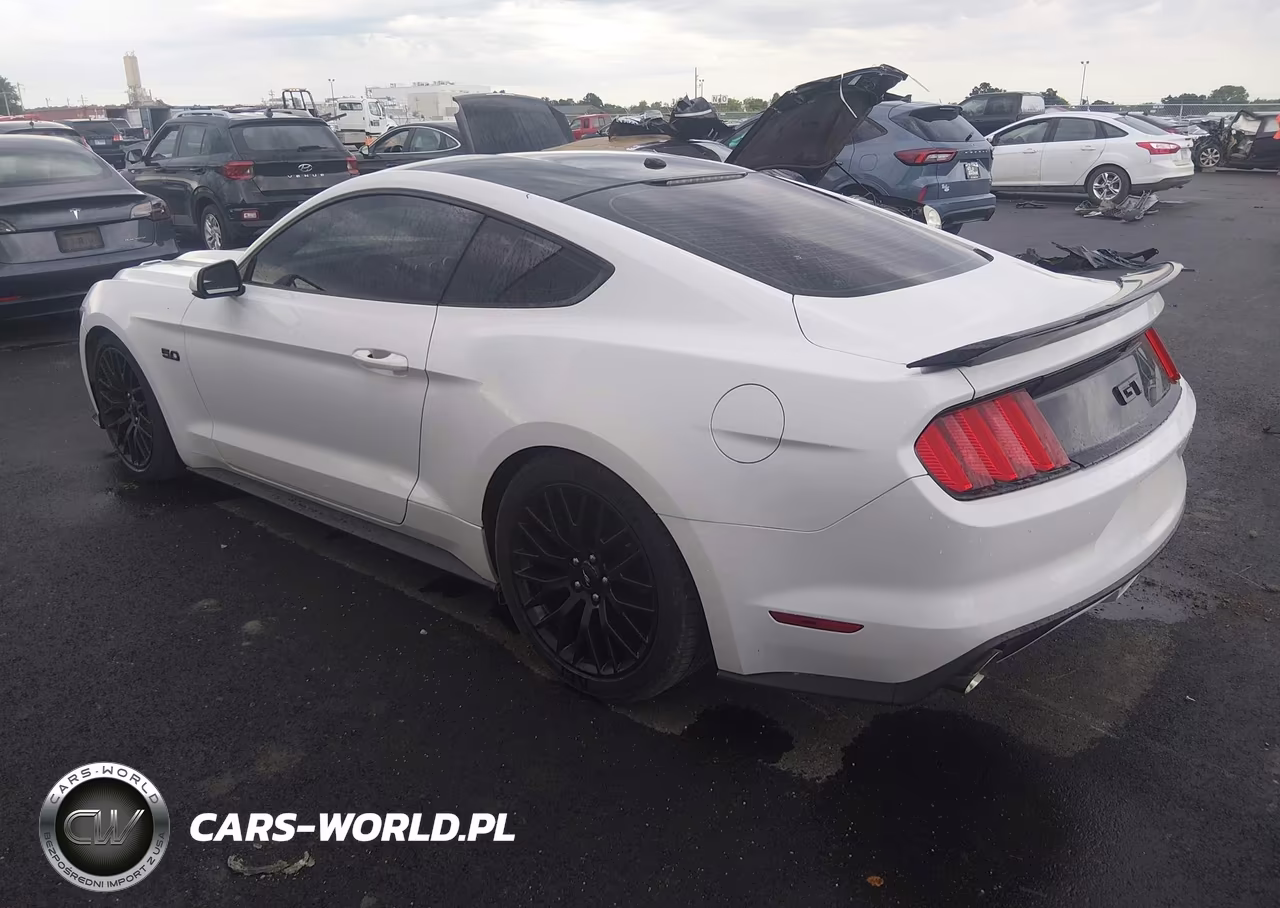 2016 Ford Mustang Gt Premium VIN:1FA6P8CF6G5268168 - 3