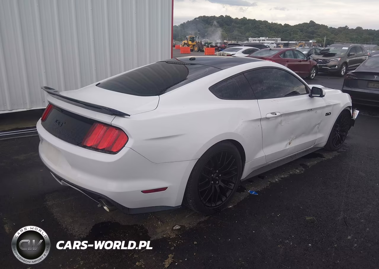 2016 Ford Mustang Gt Premium VIN:1FA6P8CF6G5268168 - 4
