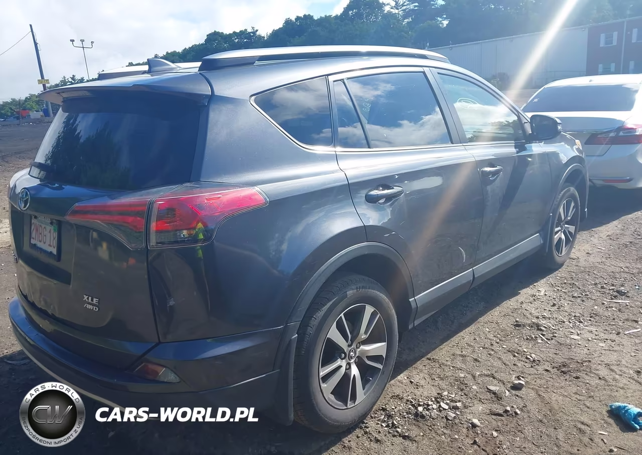 2018 Toyota Rav4 Xle VIN:JTMRFREV8JD250174 - 4
