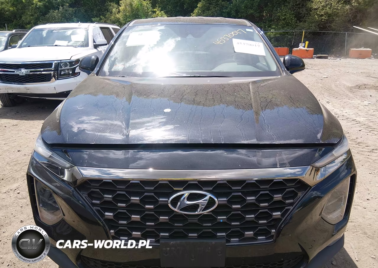 2019 Hyundai Santa Fe Sel VIN:5NMS3CAD9KH032208 - 13