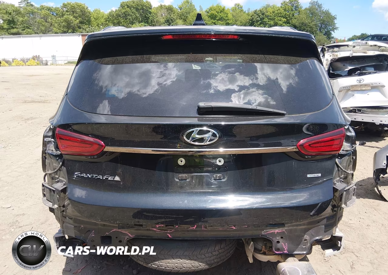 2019 Hyundai Santa Fe Sel VIN:5NMS3CAD9KH032208 - 17