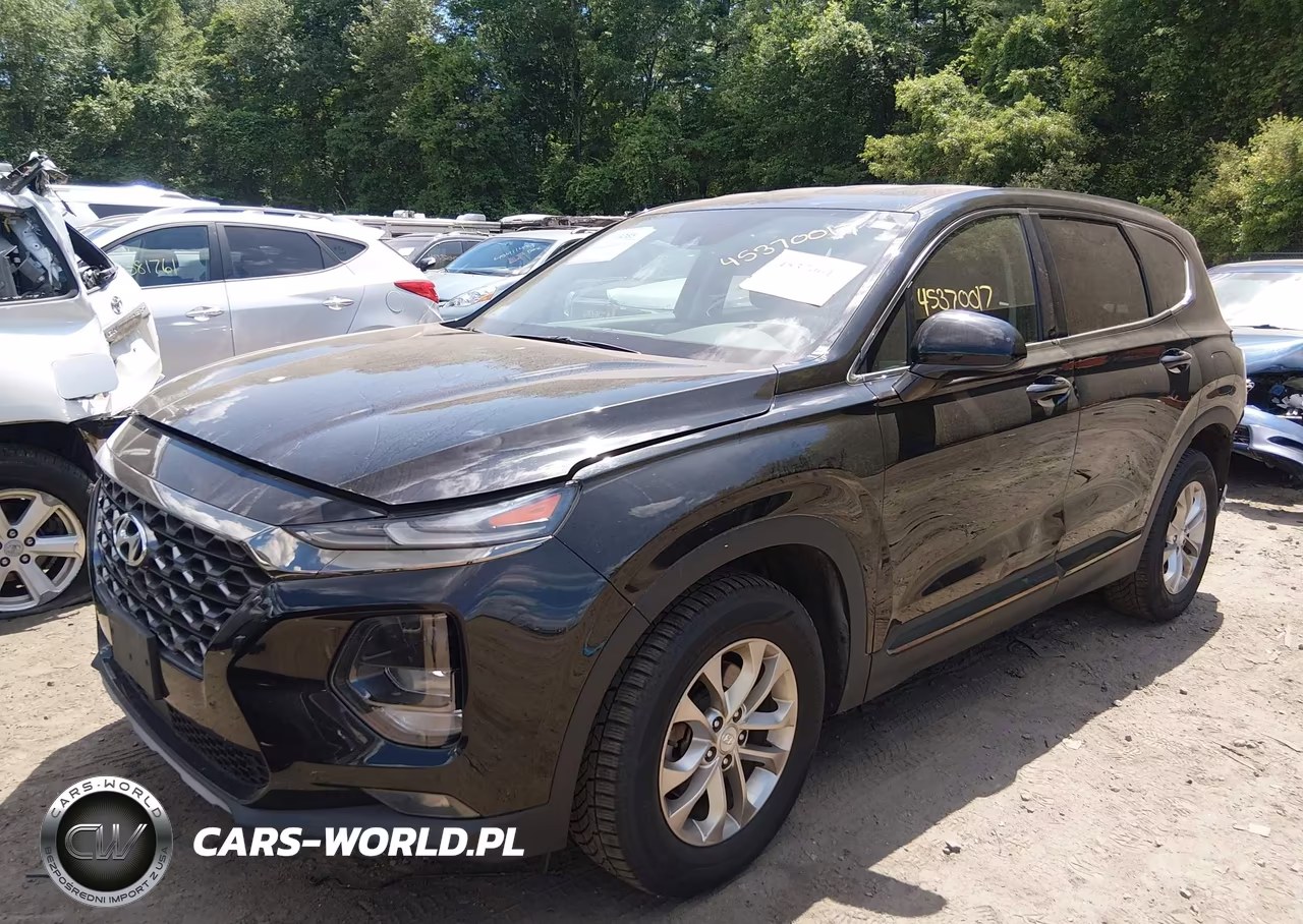 2019 Hyundai Santa Fe Sel VIN:5NMS3CAD9KH032208 - 2