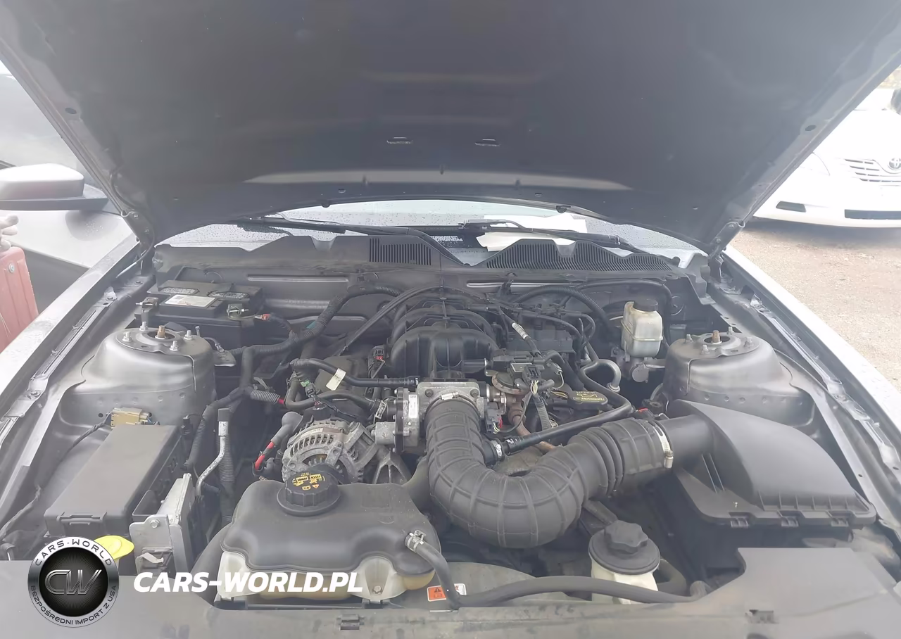 2010 Ford Mustang V6 Premium VIN:1ZVBP8AN1A5169202 - 10