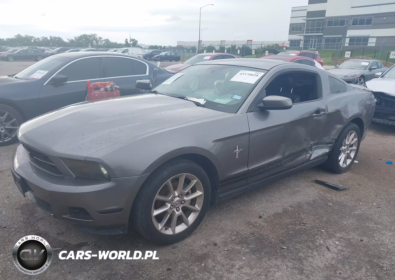 2010 Ford Mustang V6 Premium VIN:1ZVBP8AN1A5169202 - 2