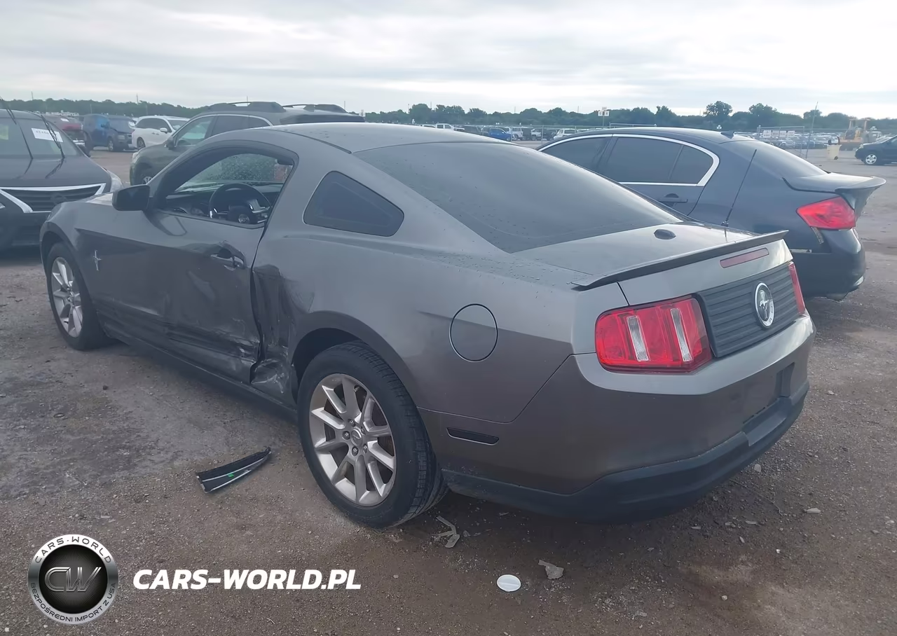2010 Ford Mustang V6 Premium VIN:1ZVBP8AN1A5169202 - 3