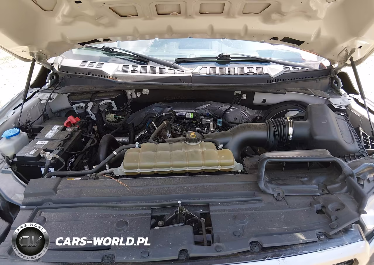2020 Ford F-150 Xl VIN:1FTEX1CP0LKD23392 - 10