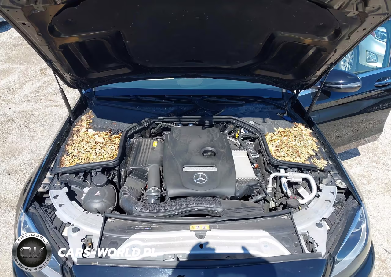2018 Mercedes-Benz C 300 4Matic VIN:55SWF4KB9JU269372 - 10