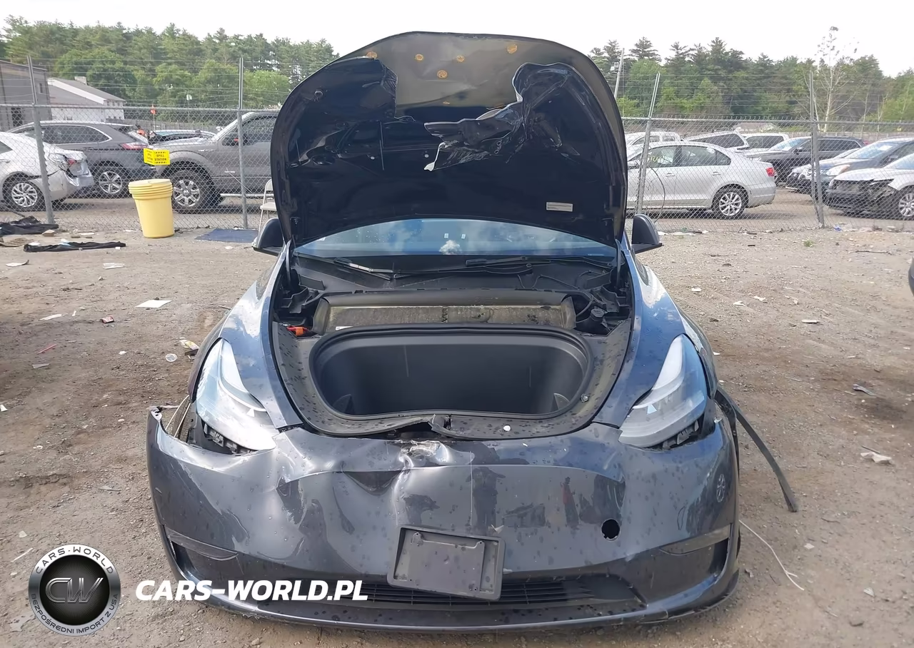 2024 Tesla Model Y Long Range Dual Motor All-Wheel Drive VIN:7SAYGDEE1RA225939 - 11