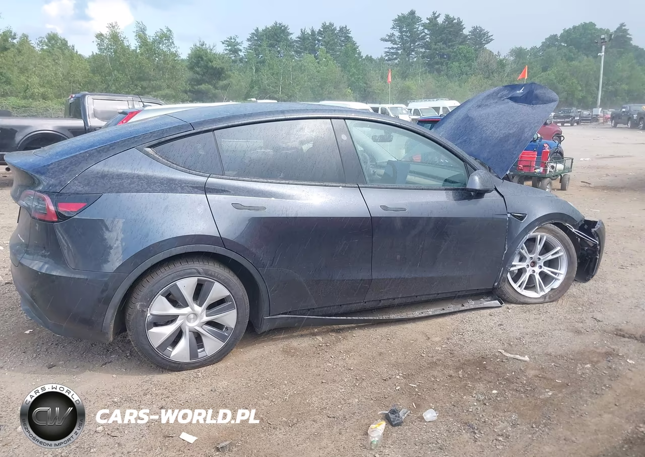 2024 Tesla Model Y Long Range Dual Motor All-Wheel Drive VIN:7SAYGDEE1RA225939 - 12