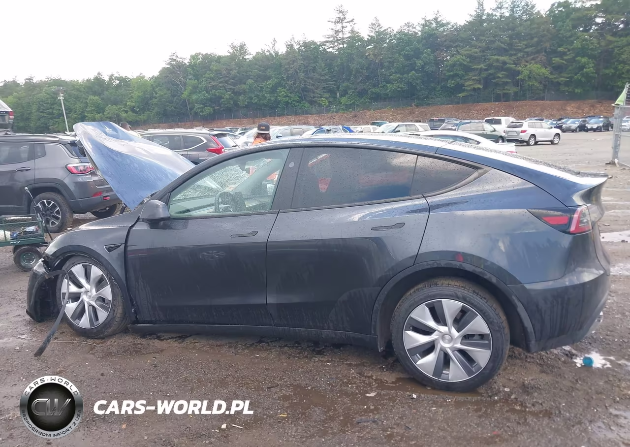 2024 Tesla Model Y Long Range Dual Motor All-Wheel Drive VIN:7SAYGDEE1RA225939 - 13