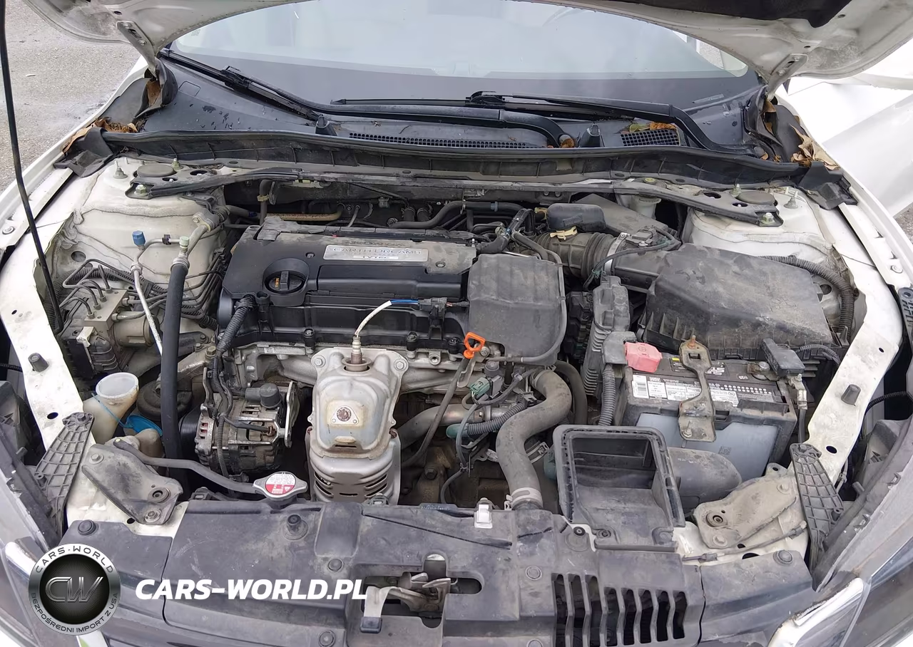 2014 Honda Accord Ex-L VIN:1HGCR2F80EA277083 - 10