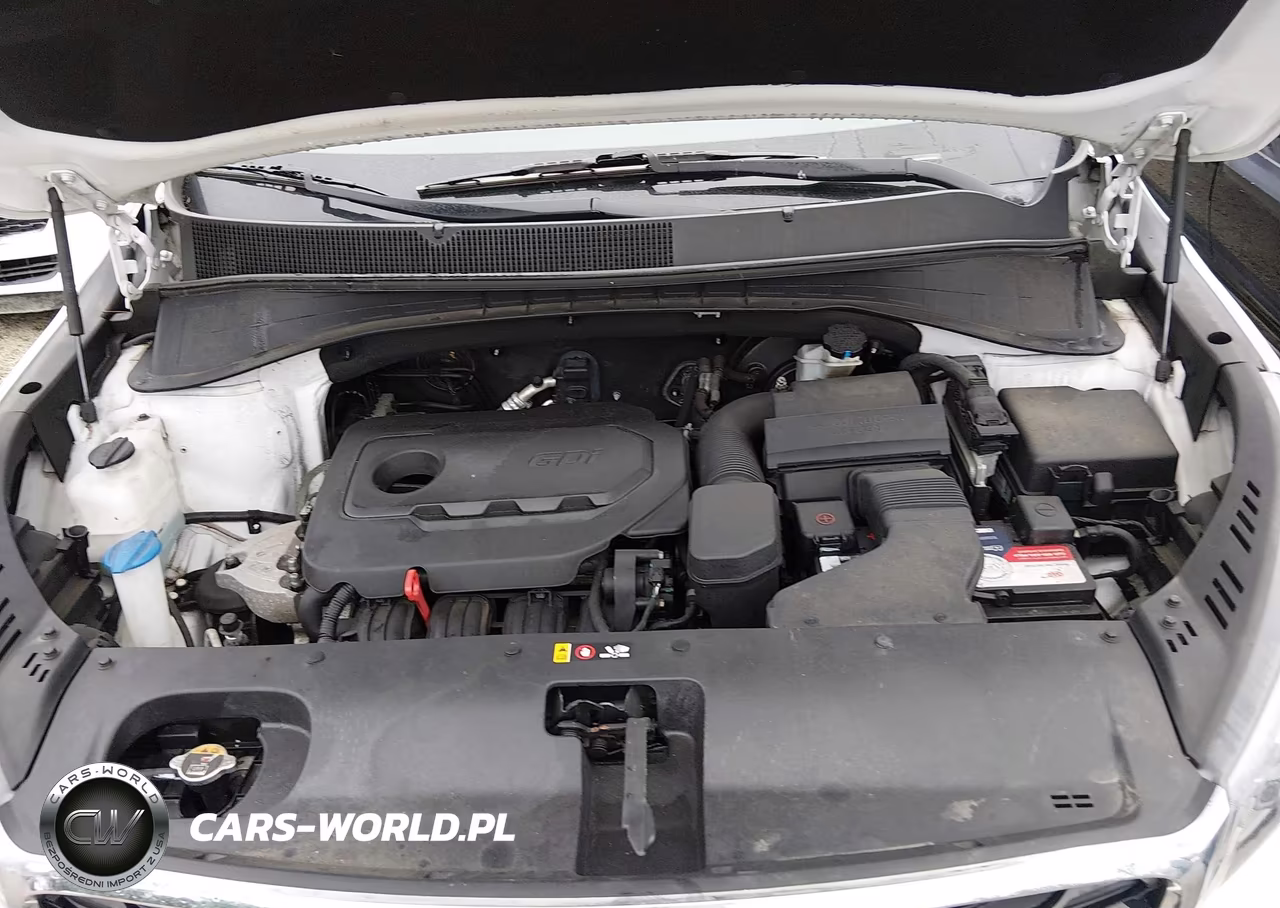 2019 Kia Sorento 2.4L Lx VIN:5XYPG4A3XKG507799 - 10