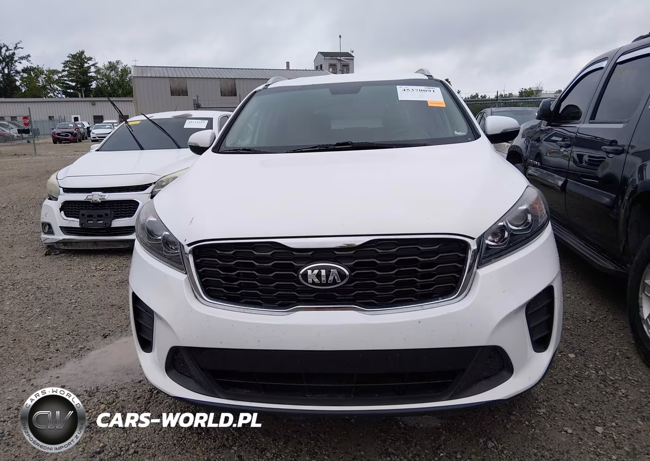 2019 Kia Sorento 2.4L Lx VIN:5XYPG4A3XKG507799 - 13