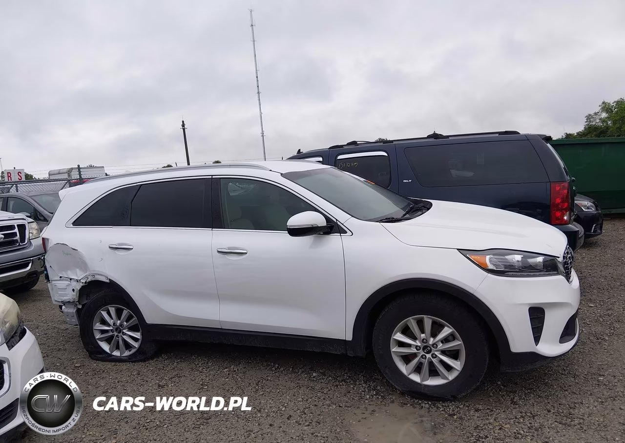 2019 Kia Sorento 2.4L Lx VIN:5XYPG4A3XKG507799 - 14