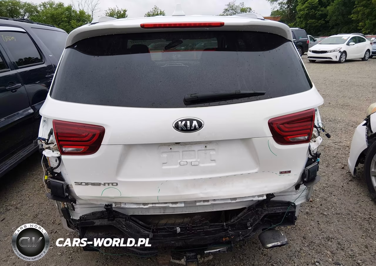 2019 Kia Sorento 2.4L Lx VIN:5XYPG4A3XKG507799 - 17