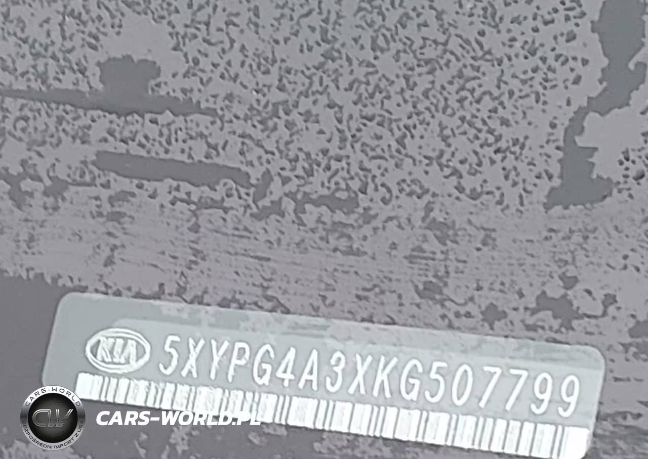 2019 Kia Sorento 2.4L Lx VIN:5XYPG4A3XKG507799 - 9
