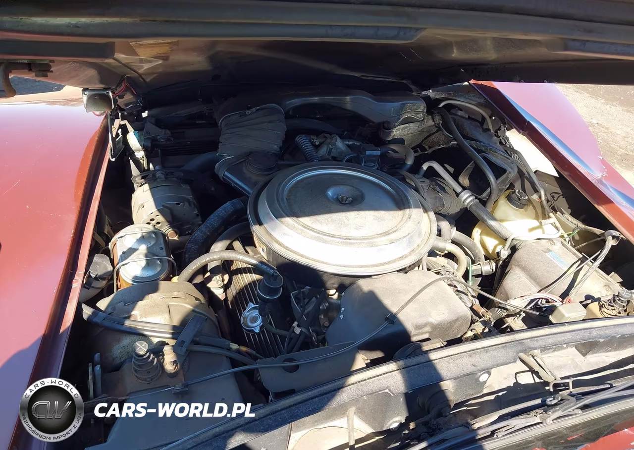 1981 Chevrolet Corvette VIN:1G1AY8761B5104162 - 10