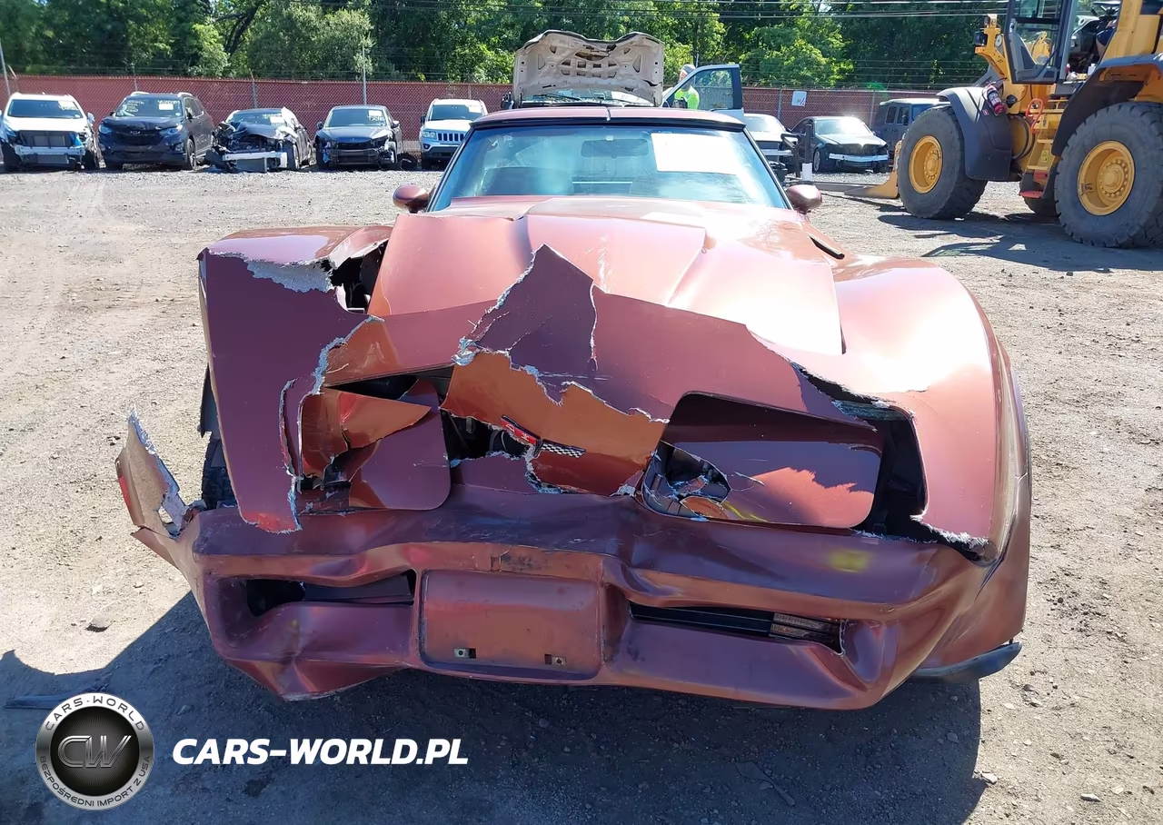 1981 Chevrolet Corvette VIN:1G1AY8761B5104162 - 12