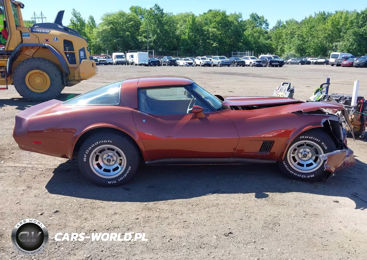 1981 Chevrolet Corvette VIN:1G1AY8761B5104162 - 13