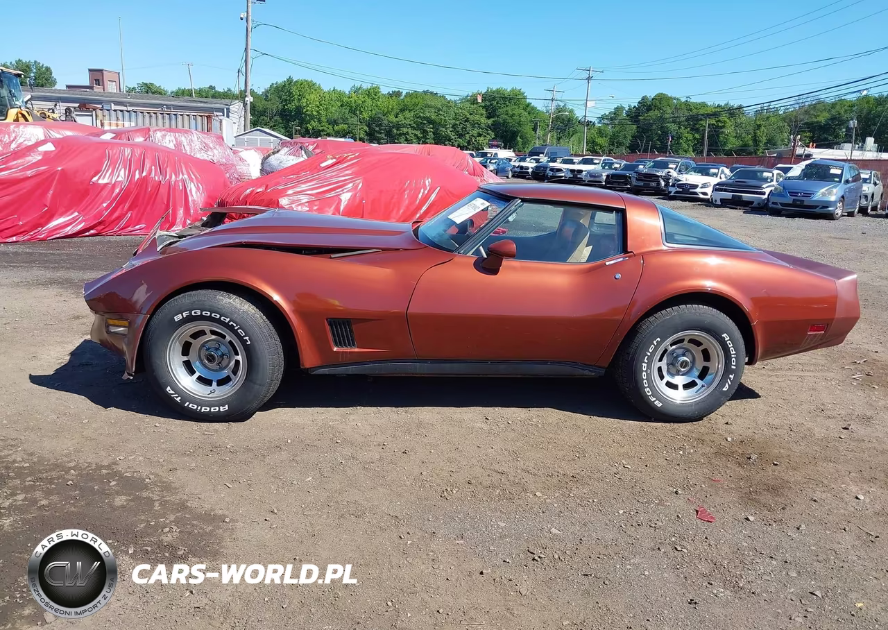1981 Chevrolet Corvette VIN:1G1AY8761B5104162 - 14