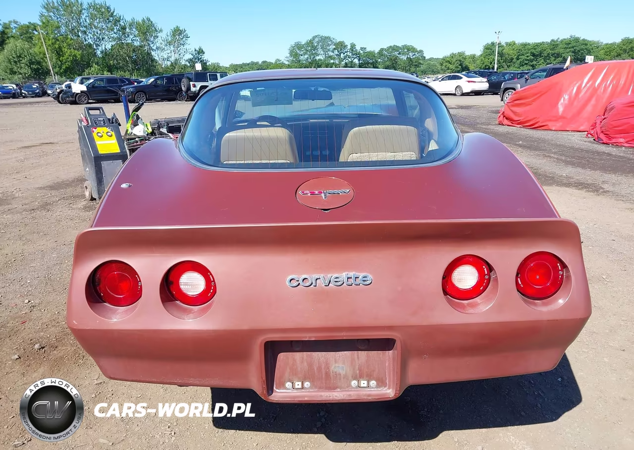 1981 Chevrolet Corvette VIN:1G1AY8761B5104162 - 16