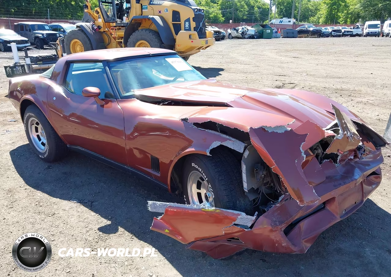 1981 Chevrolet Corvette VIN:1G1AY8761B5104162 - 17