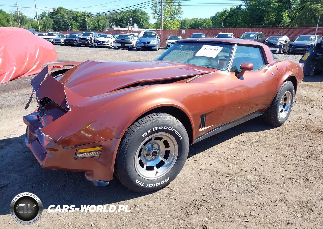 1981 Chevrolet Corvette VIN:1G1AY8761B5104162 - 2