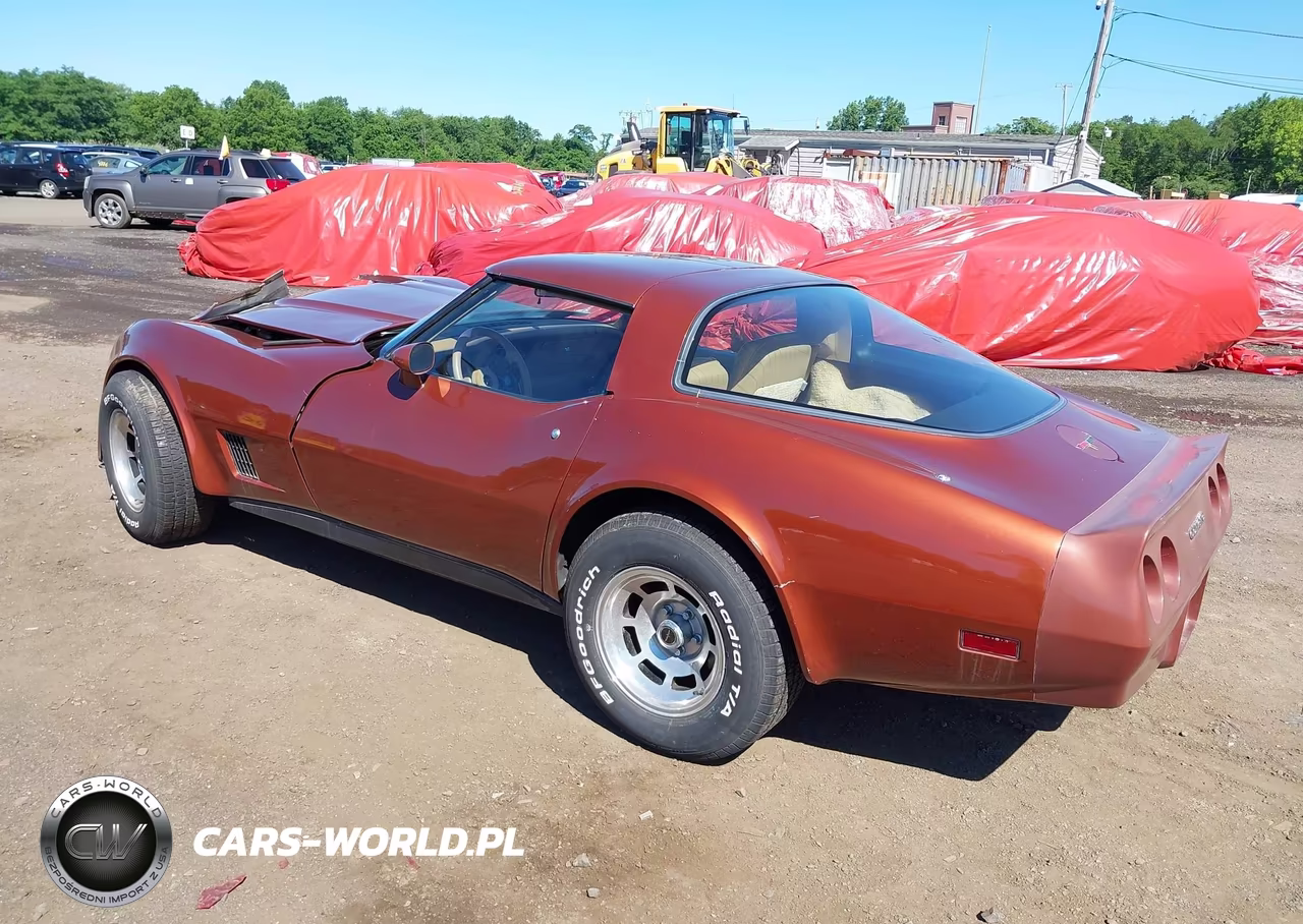 1981 Chevrolet Corvette VIN:1G1AY8761B5104162 - 3