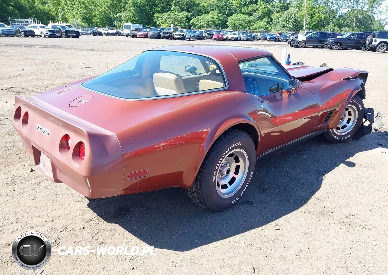 1981 Chevrolet Corvette VIN:1G1AY8761B5104162 - 4