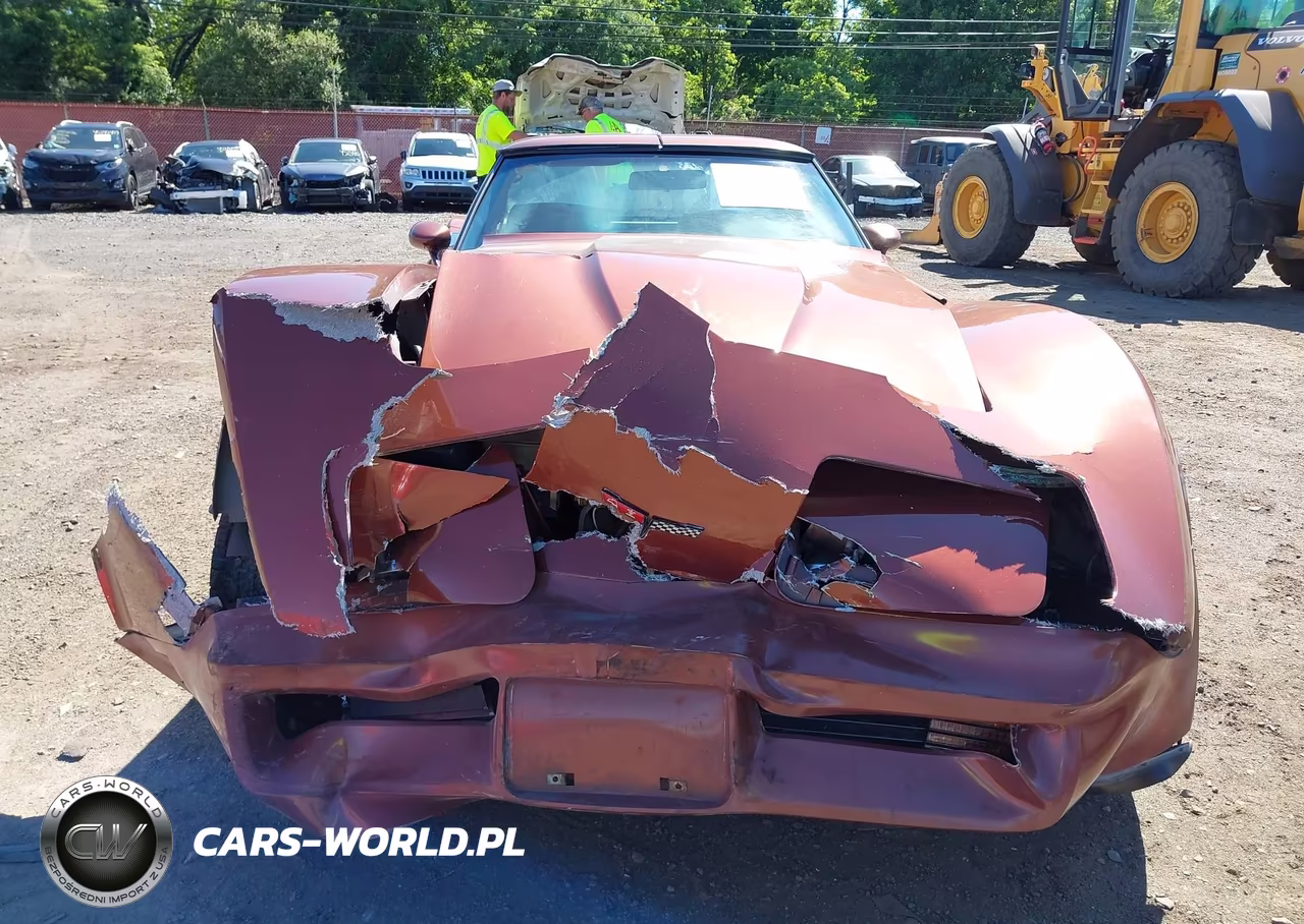 1981 Chevrolet Corvette VIN:1G1AY8761B5104162 - 6