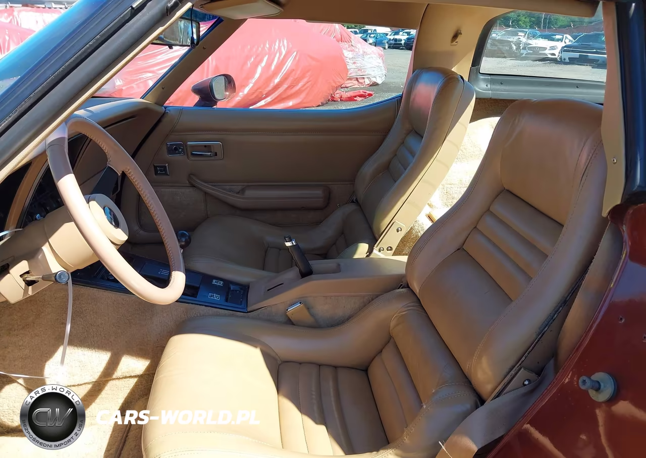 1981 Chevrolet Corvette VIN:1G1AY8761B5104162 - 8
