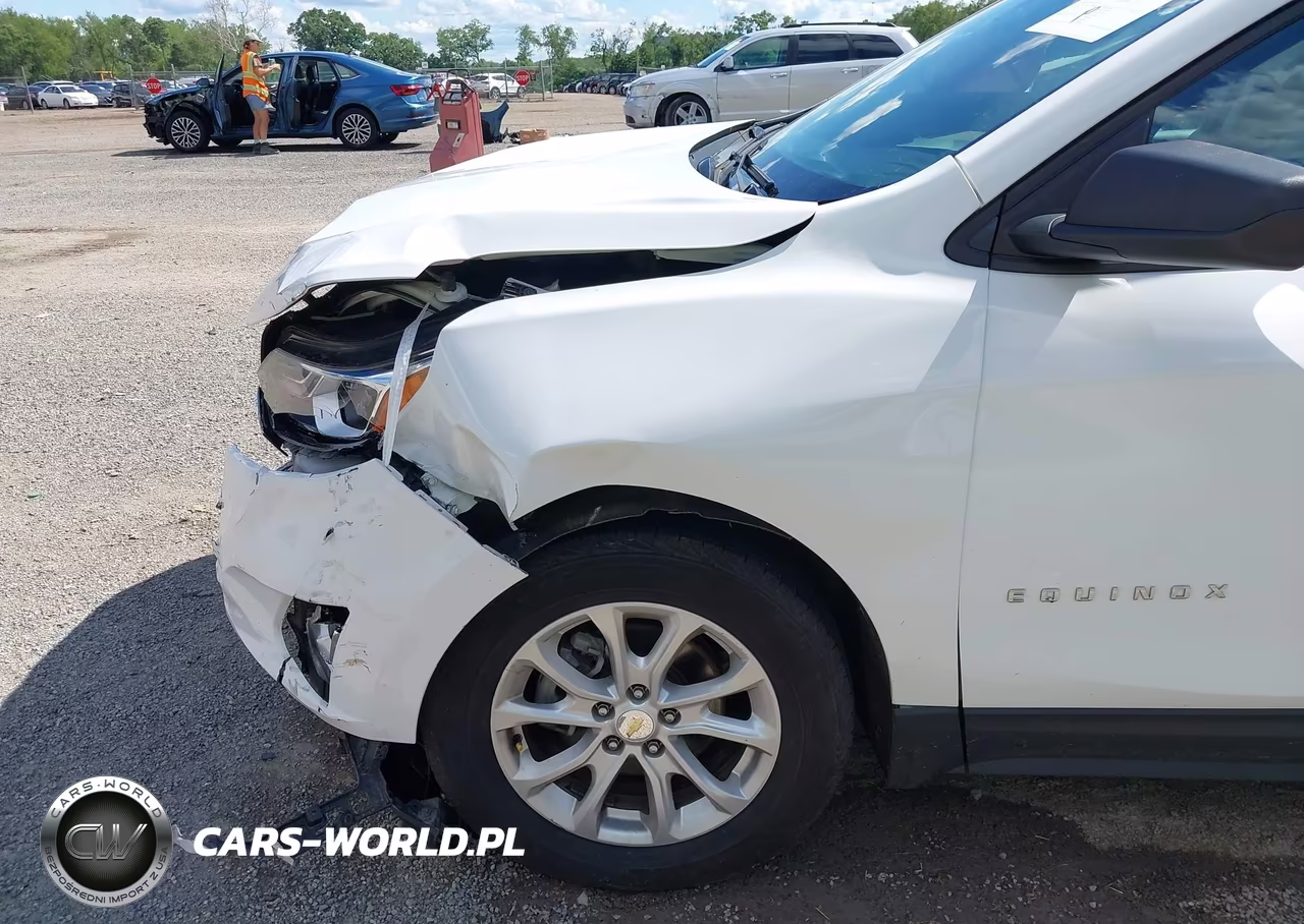 2020 Chevrolet Equinox Fwd Ls VIN:3GNAXHEV6LS736755 - 18