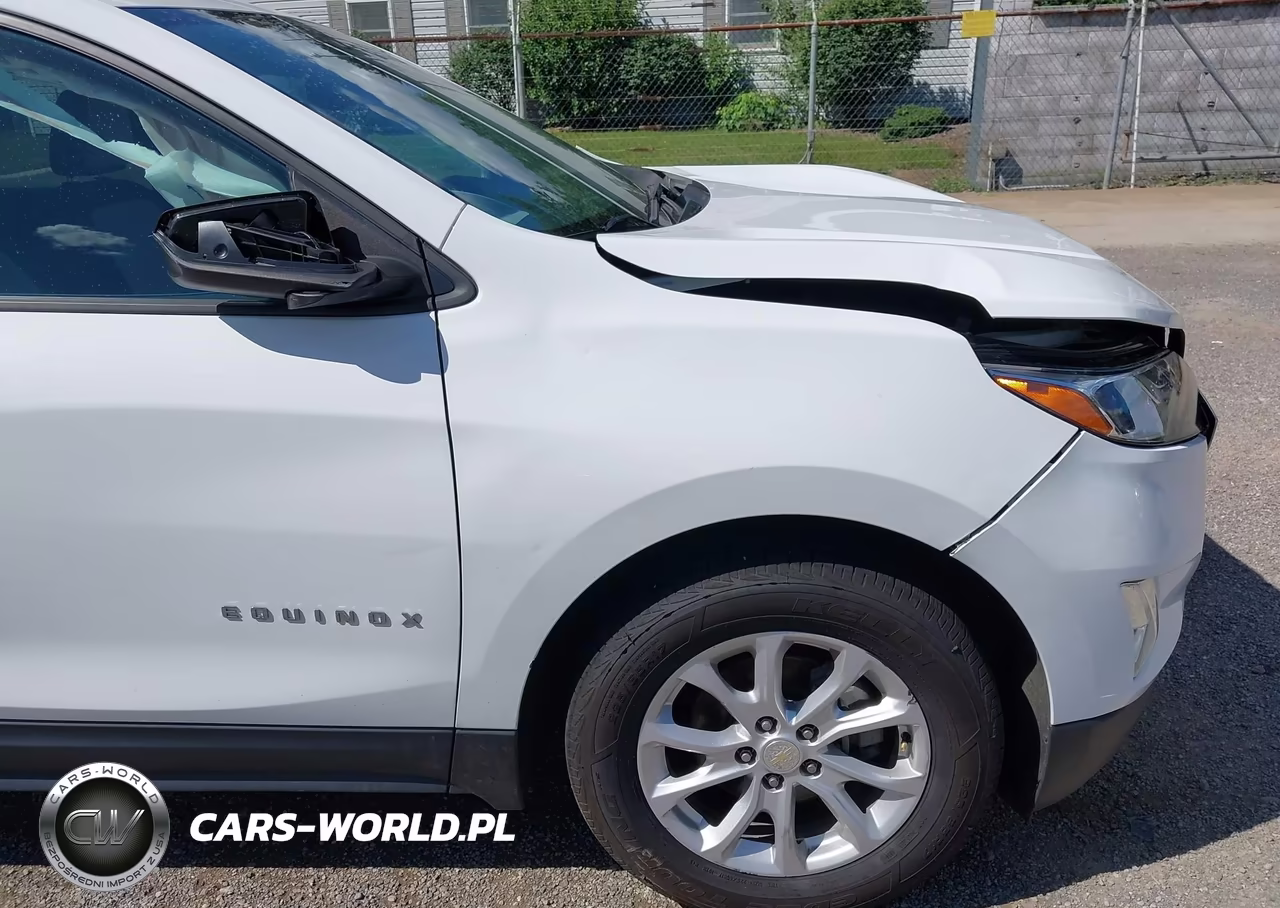 2020 Chevrolet Equinox Fwd Ls VIN:3GNAXHEV6LS736755 - 19